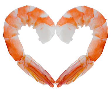 Taste-of-Love-Catering-Shrimp