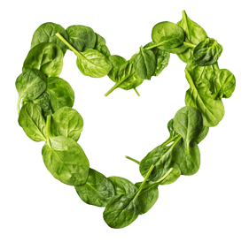 Taste-of-Love-Catering-Spinach